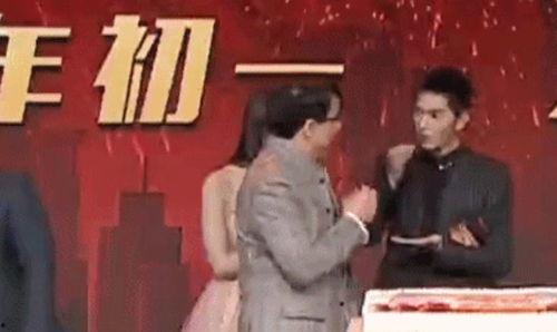 成龙大哥爆料刘嘉玲视频,揭秘娱乐圈不为人知的秘密  第3张